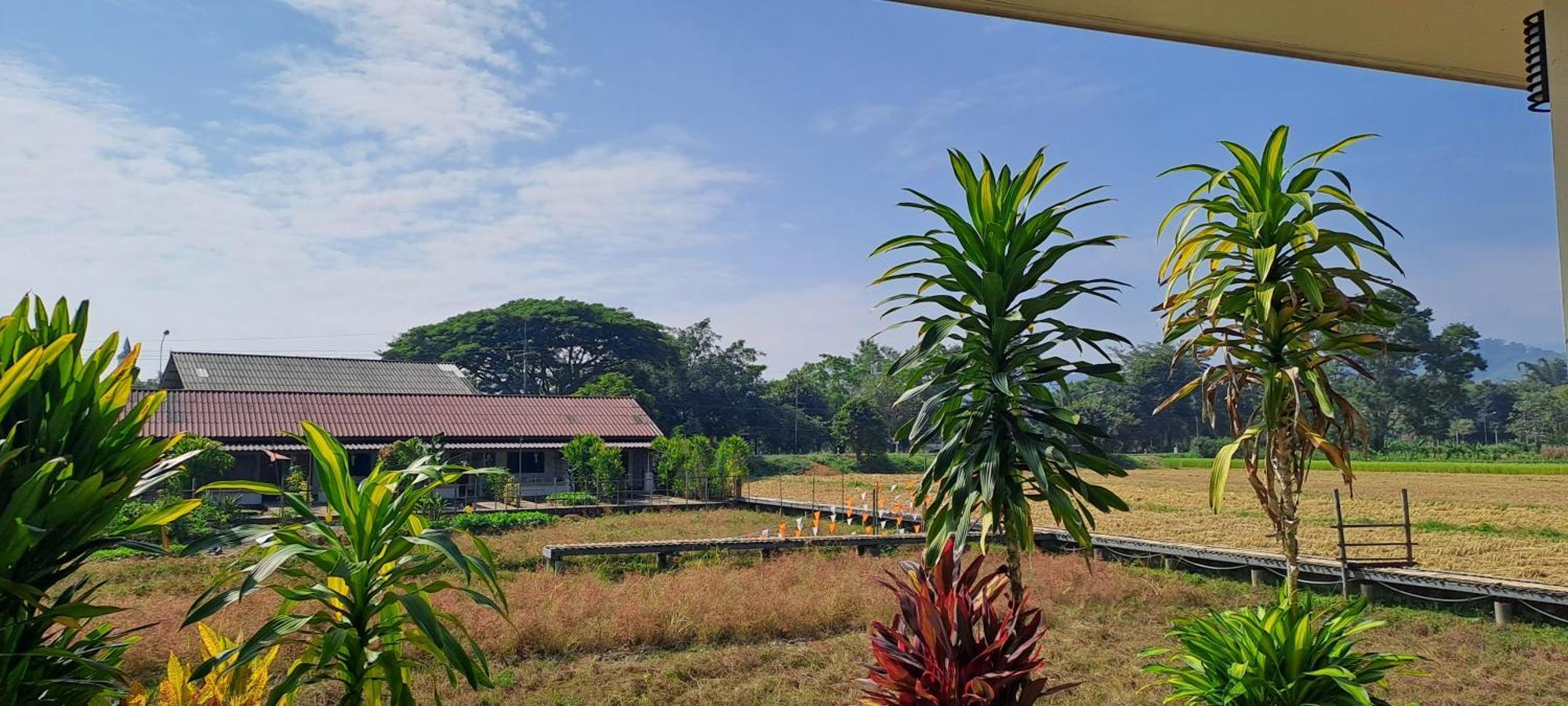Ban Lom Jen Homestay Čiang Rai Exteriér fotografie