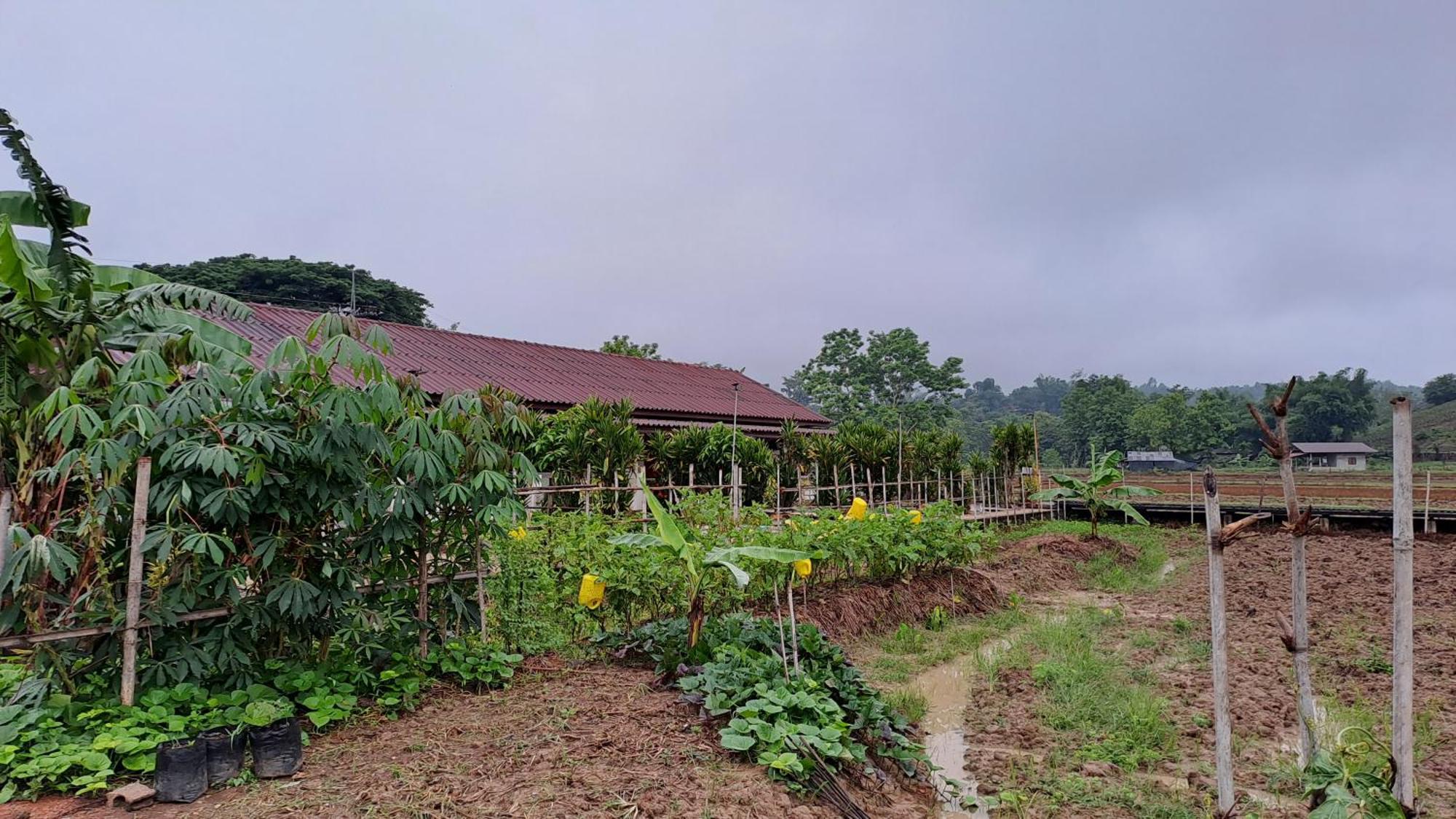 Ban Lom Jen Homestay Čiang Rai Exteriér fotografie