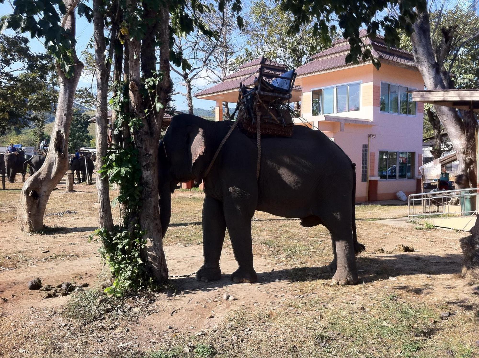 Ban Lom Jen Homestay Čiang Rai Exteriér fotografie